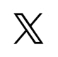X (Twitter)
