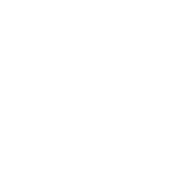 मिडट्ज़िलैंड (यूथ)