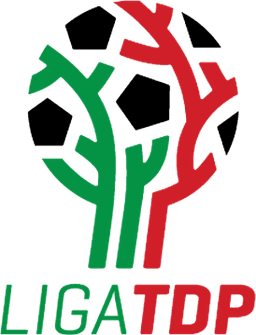 دوري تيرسيرا ديبورتيفا المكسيكي