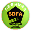 चाइनीज वेइफांग महिला कप