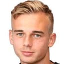 فيليكس شفارتزهولتس