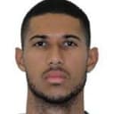 رافاييل سيلفا