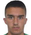 سامكوفيتش زيليكو