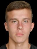 نيكيتا بلوتنيكوف