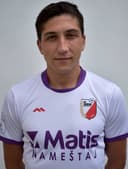 ميروسلاف ماريتشيتش