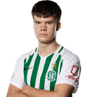 ميكوليناس مينارداس