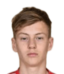 डिनो हलीलोविच