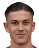 أرنيل كوجوفيتش