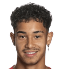 ويلي غابرييل فوغت