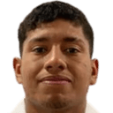 كارلوس روكا