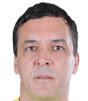 فلاديمير ستويكوفيتش