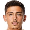 دينيس هادجيكادونيتش