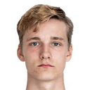 هوغو بيرغستروم