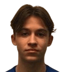 ألكسندر كابيتان بيرغمان