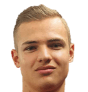 ماريوس هيرزيغ