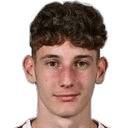 زوران أليلوفيتش