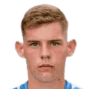 تين ليفانيتش