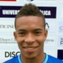 रोड्रिगो पेरेआ