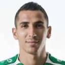 यानिस टाफर