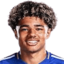 مايكل هاينز جولدينغ