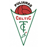 সেলটিক সিএফ