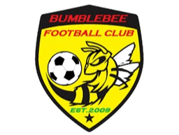 নিউ বাম্বলবি