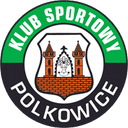 গর্নিক পোলকোভিসে