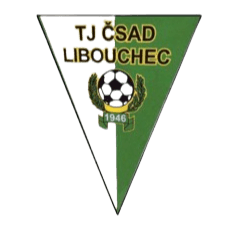 টি জে লিবৌচেক