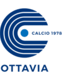 एसएसडी ओट्टाविया