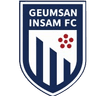 Geumsan Insam FC