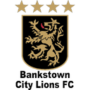 أسود مدينة بانكستاون تحت 20 سنة