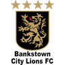 ব্যাঙ্কস্টাউন সিটি লায়ন্স U20