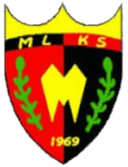 মেকানিক বোবোলিচে