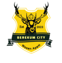 Berekum City