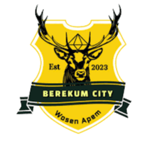 Berekum City