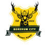 Berekum City