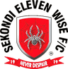 इलेवन वाइज़