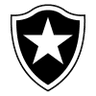 Botafogo RJ Youth