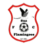 سوا فلامينغوس