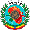 ডিফেন্স ফোর্স ইথিওপিয়া