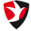 Cheltenham Town Women
