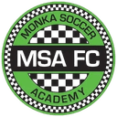 বিদ্যানগর এমএসএ