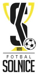 এসকে সলনিসে