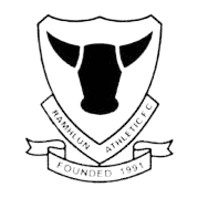 रामह्लुन एथलेटिक