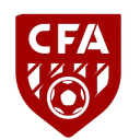 হিংগান লীগ দল