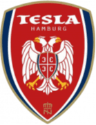 टेस्ला बर्गर