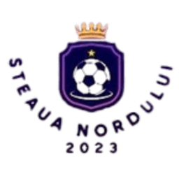 Steaua Nordului