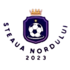 Steaua Nordului