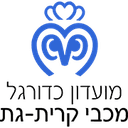 एमएस हापोएल येरहोम