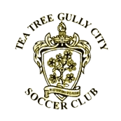 टी ट्री गुल्ली सिटी